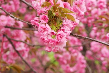 无锡新吴区1线下个人借款平台一站式服务，轻松解决资金难题