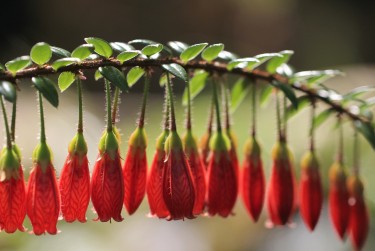 无锡新吴区1零用贷短借：轻松解决临时资金需求