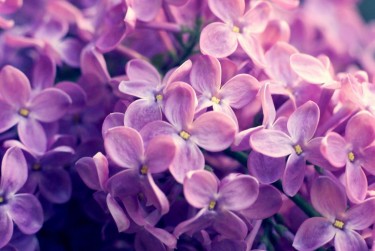 无锡新吴区1企业急用钱贷款攻略：快速融资解燃眉之急